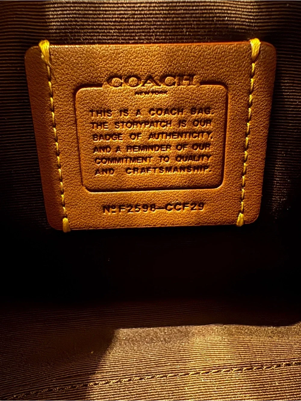 Coach Brown Suede Mini Rowan